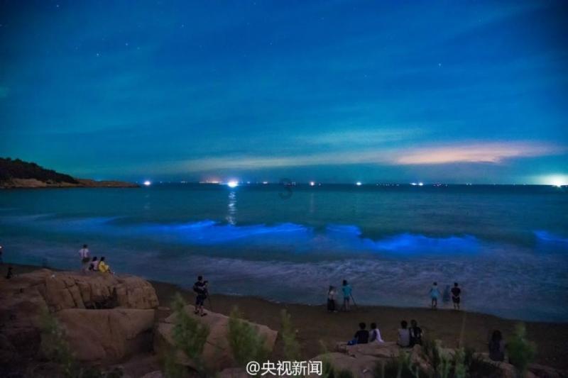 琳娜整理房间