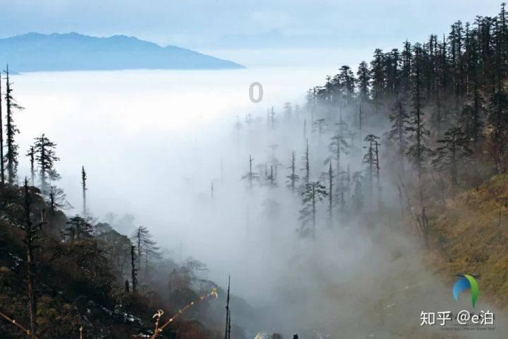 障碍冲刺挑战赛无敌版