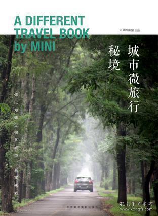 奇点灰烬