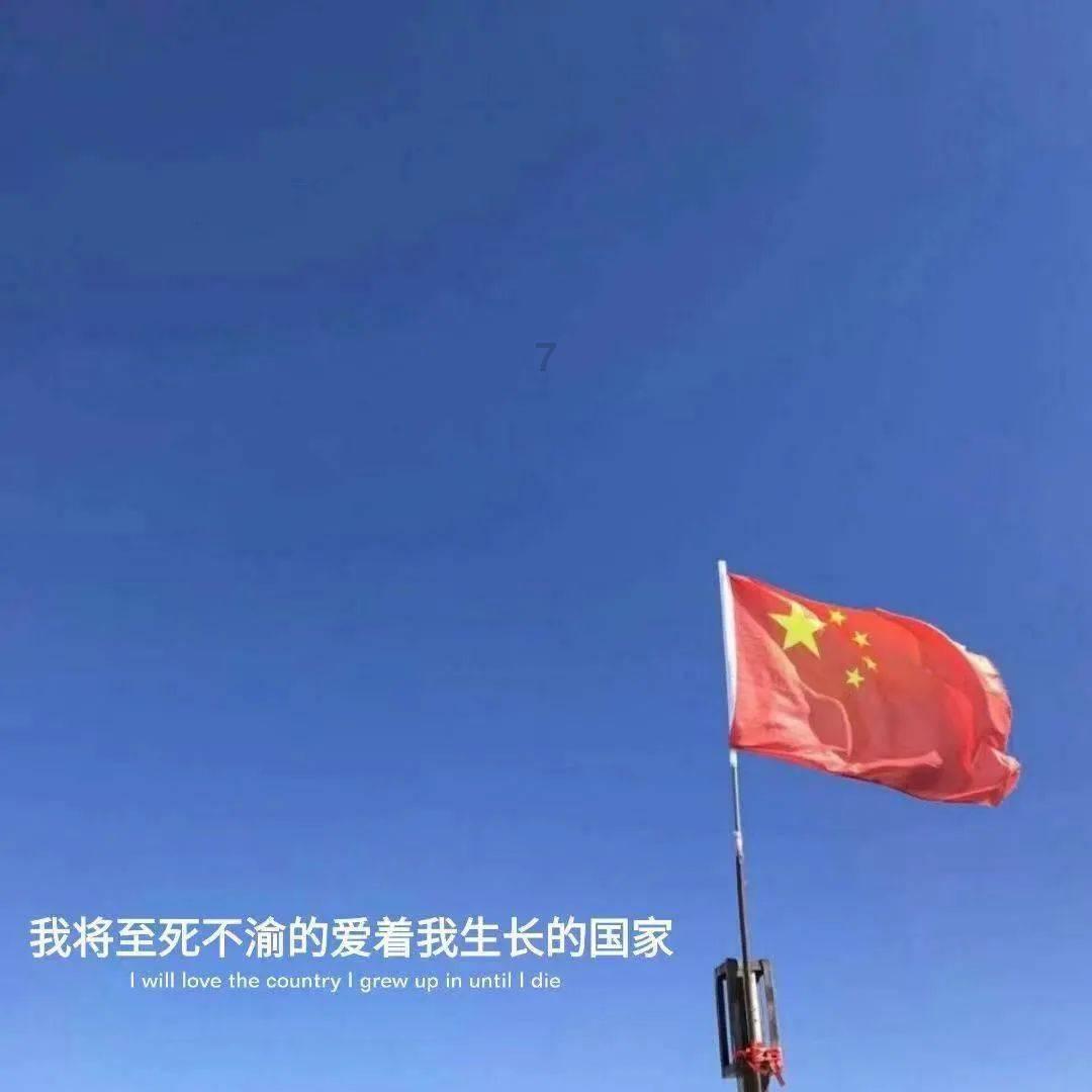 “一案双查”打破造假“生态圈” 立体化追责让监管执法“长牙带刺”