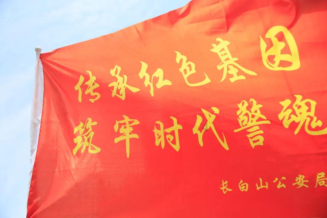调兵遣将飞机打击